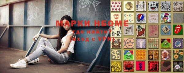 прущие грибы Надым